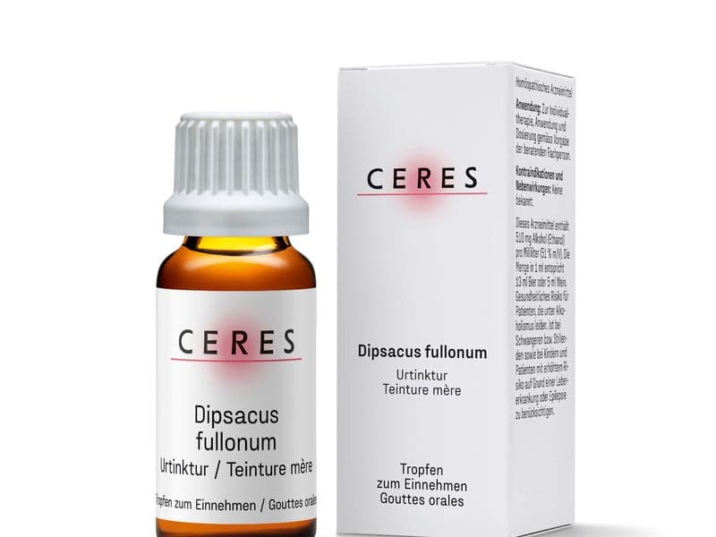 Dipsacus fullonum Urtinktur Packshot
