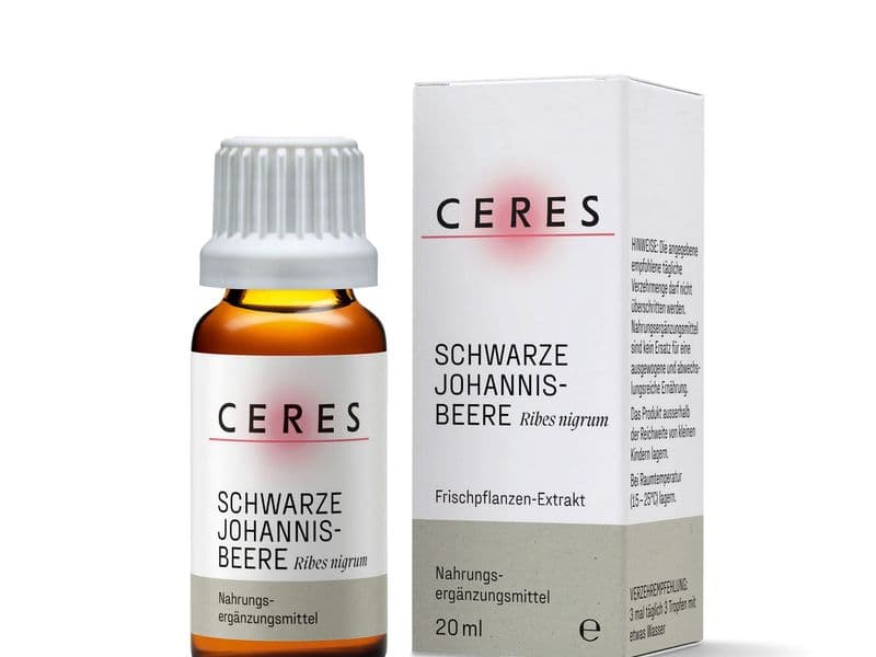 Schwarze Johannisbeere Frischpflanzen-Extrakt Packshot