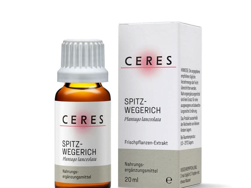 Spitzwegerich Frischpflanzen-Extrakt Packshot