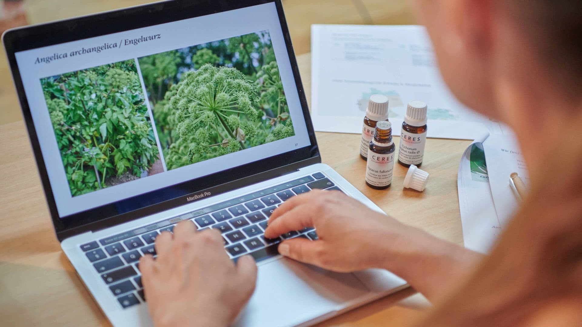 Von der Heilpflanze zur ganzheitlichen Arznei – Die besondere Art der Verarbeitung