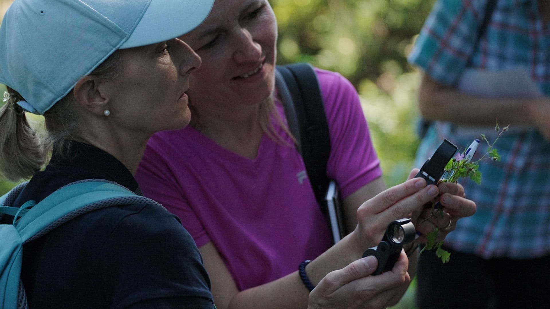 Pflanzen-Exkursion: Heilpflanzen in der Natur begegnen