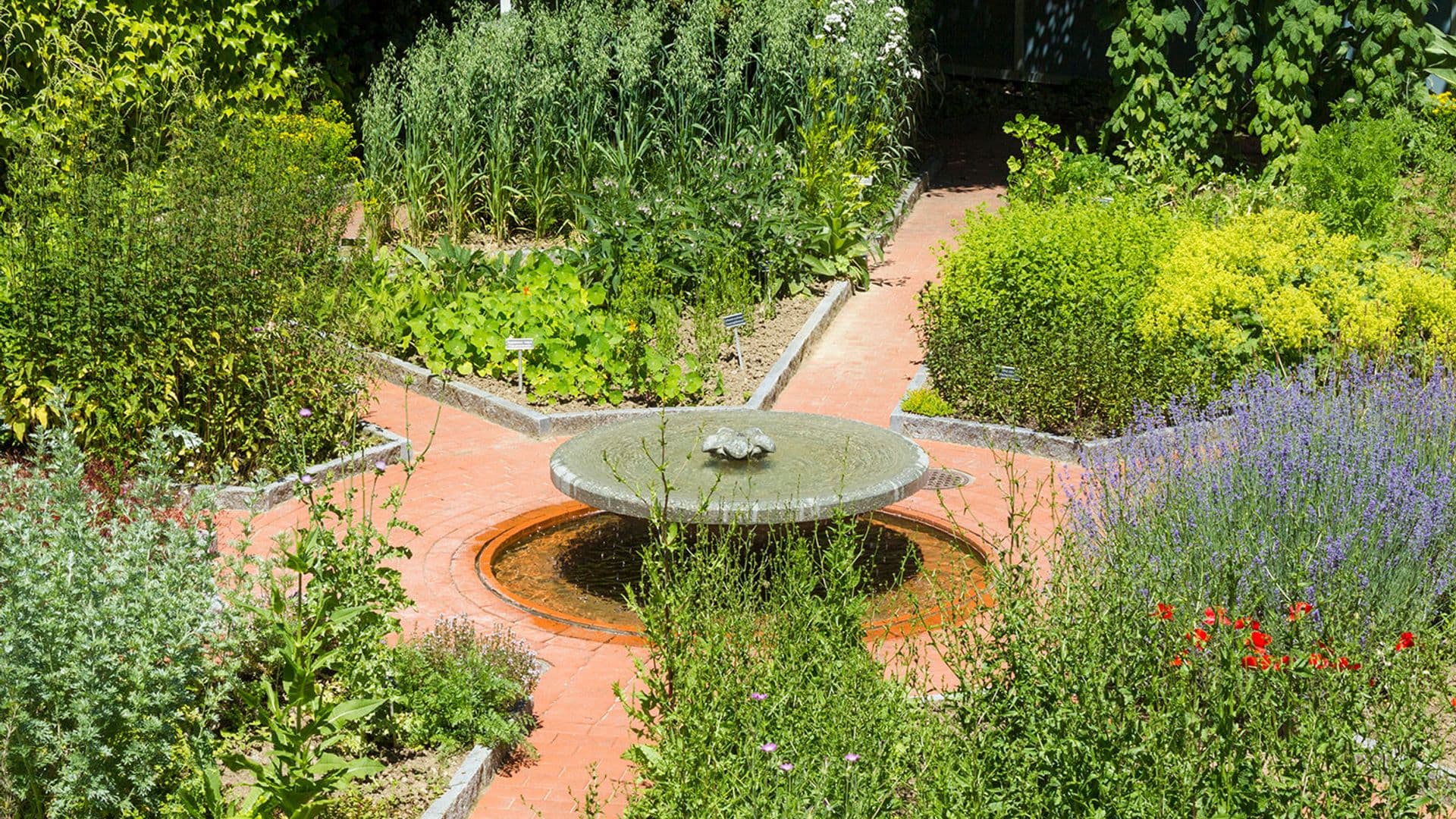 Ceres Erlebnistag für Studierende – Erfolgreicher Praxisstart mit Heilpflanzen