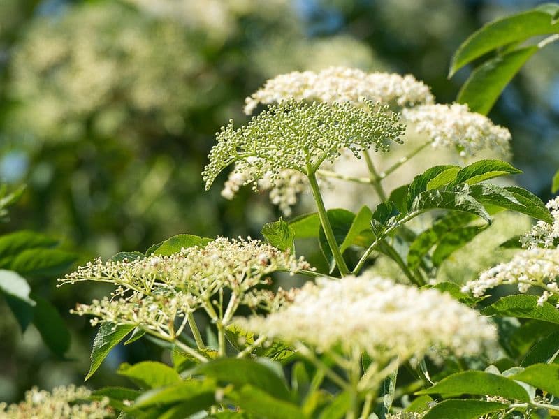 Leben im Wandel - Transformationsprozesse bei Kindern und Jugendlichen