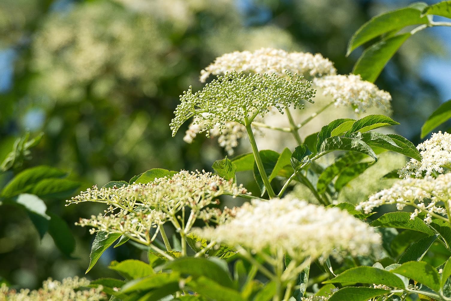 Leben im Wandel - Transformationsprozesse bei Kindern und Jugendlichen