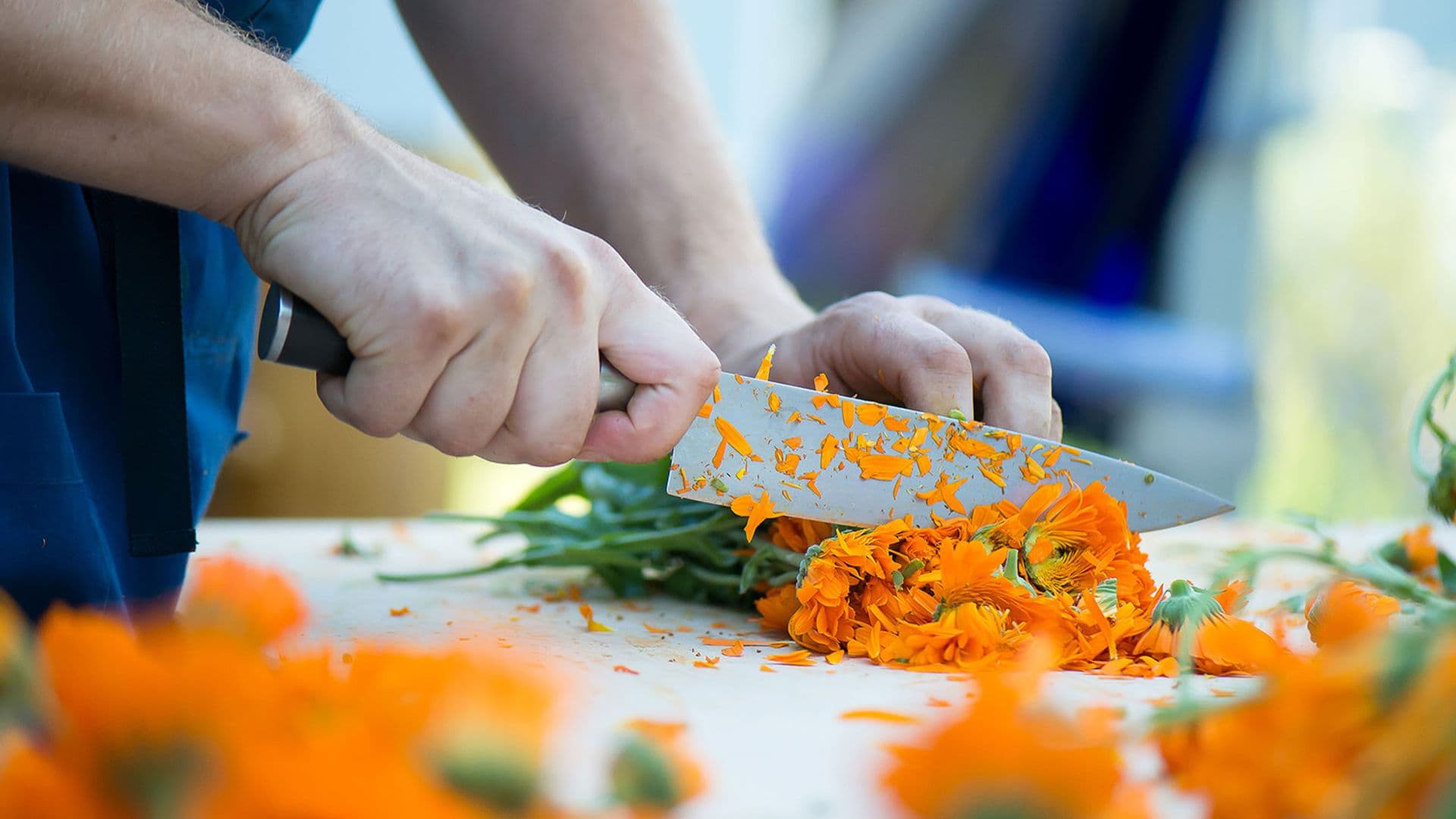 Von der Heilpflanze zur ganzheitlichen Arznei – Die besondere Art der Verarbeitung