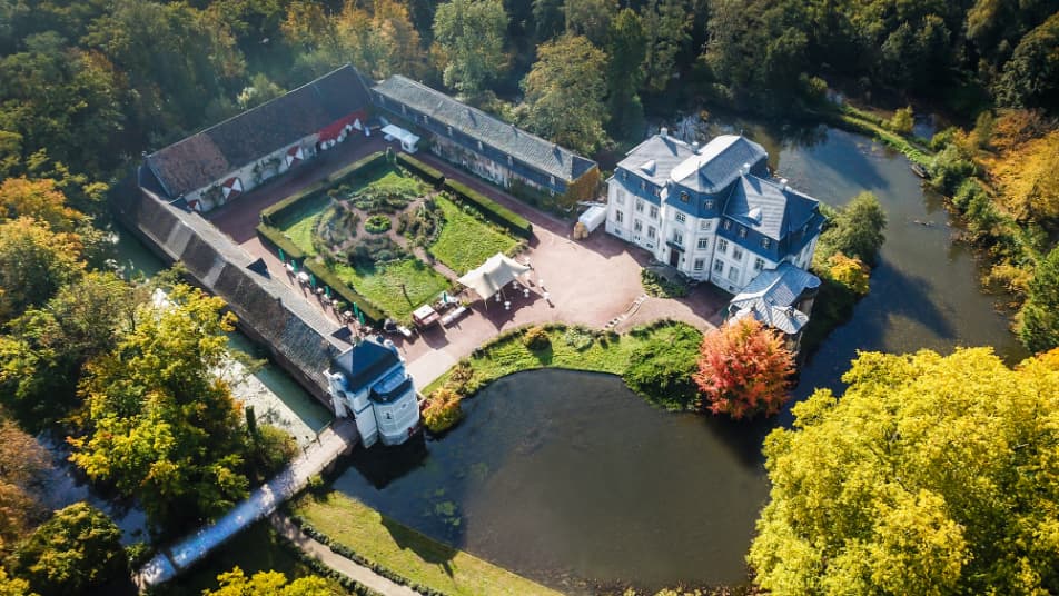 Pflanzen-Exkursion: Wesen und Signatur der Heilpflanzen